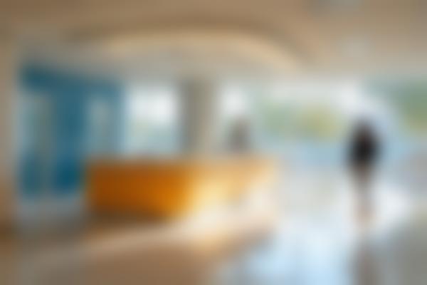 修复后的日常护理要点