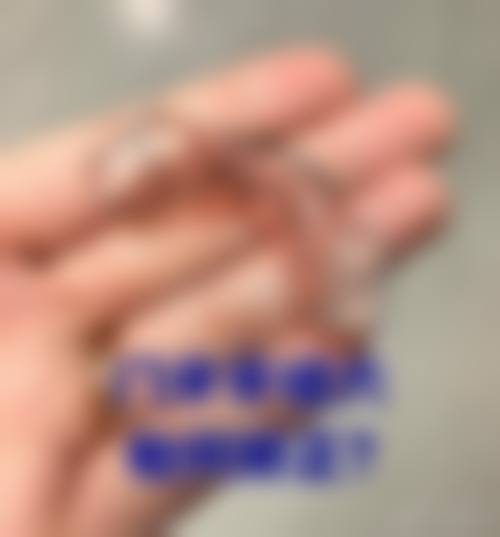 蒋涛擅长项目列表