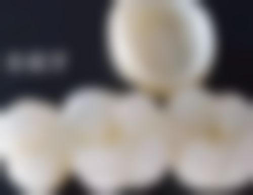 广州鹏博口腔医生团队