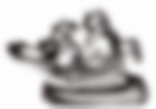 东莞中齿口腔诊所核心项目