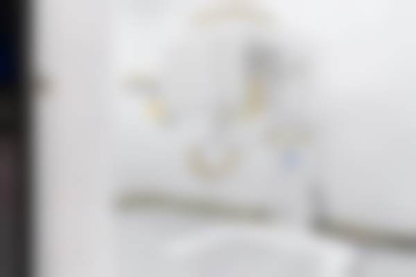 上海瑞伢美口腔连锁（铭奥口腔）医生团队