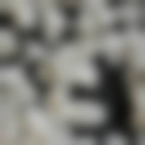 湖南衡阳龙氏口腔医生团队