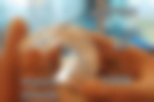 甘肃兰州台牙迪萌口腔门诊部核心项目