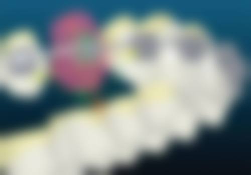 浙江温州乐清柳市海兵口腔医生团队