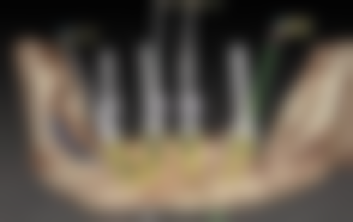 广东惠州惠城皓齿口腔诊部医生团队