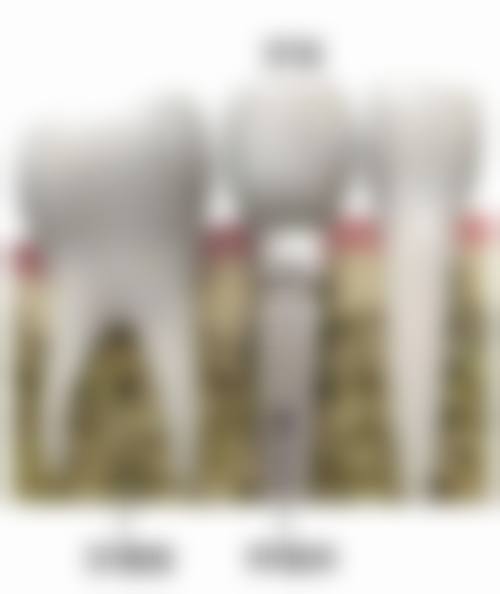 福州舒华口腔门诊部医生团队