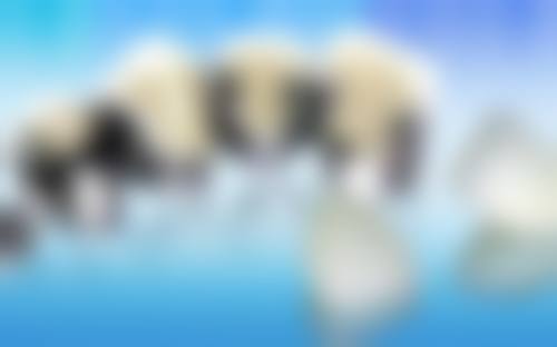 深圳圣文口腔（东方路店）实例参考