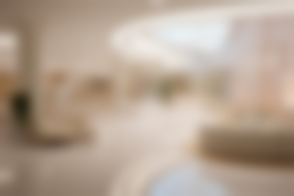 费素丽技术水平评价