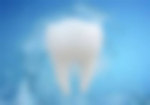 王金凤预约方式