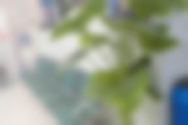 重庆沙坪坝希美口腔门诊部医生团队