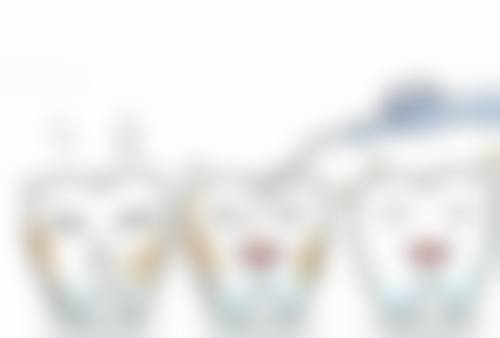 广东东莞伢博仕口腔南栅医生团队