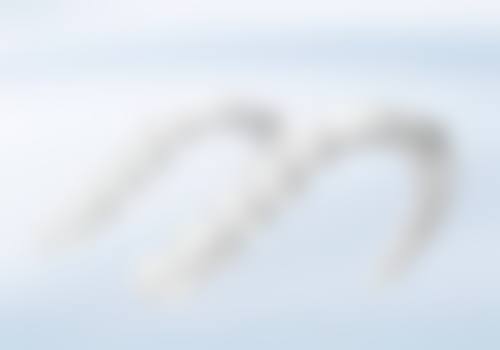 长沙牙战士口腔门诊正规吗？看资质