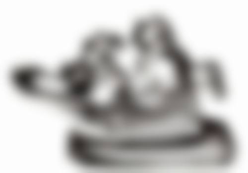 福州松鼠口腔门诊部怎么预约？