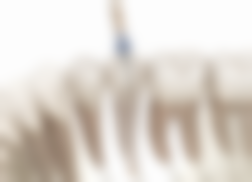 山东烟台海阳益顺口腔医生团队解析