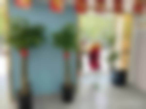 北京怡诺口腔门诊部口碑评价