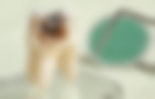 郑江江擅长项目列表