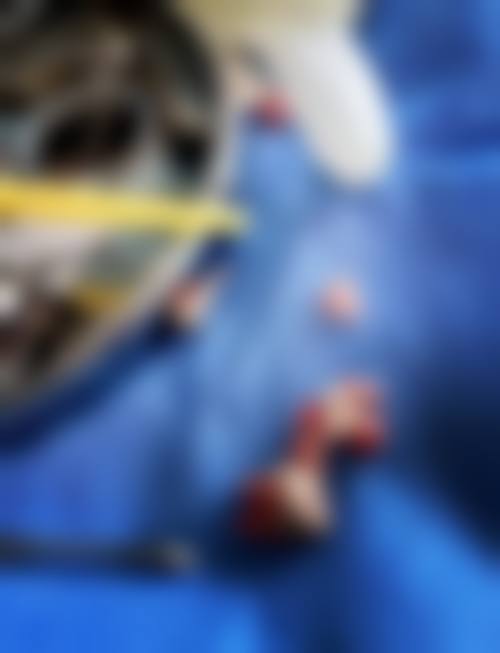 广东深圳科易白口腔门诊部2026价格表参考