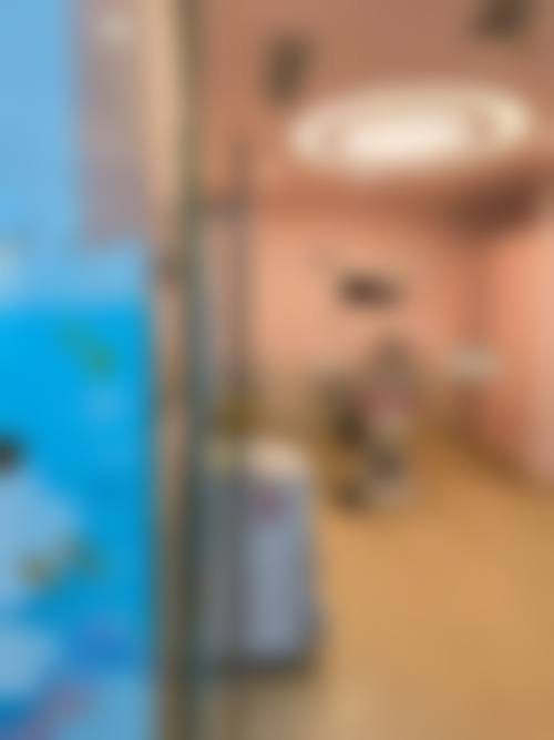 丁丽慧预约方式及价格表