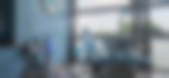 魏瑞锋擅长项目列表