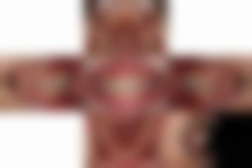 大同金诚雷氏口腔2026价格表参考