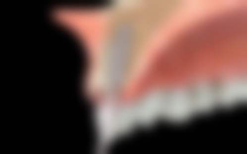 杭州口腔医院滨江门诊部擅长项目有哪些？