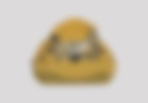 上海苏齿博耀口腔医生团队解析