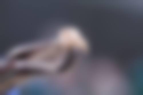 【南昌雅博口腔门诊部价格表参考】