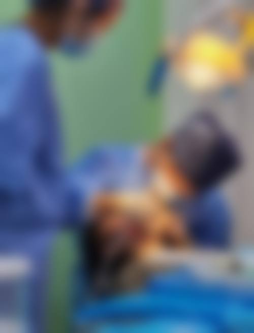 【北京佳美口腔永润路门诊交通路线与周边停车指南】