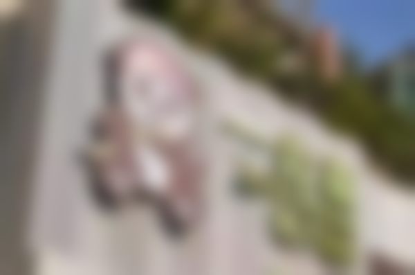 张宪芳预约方式及价格表