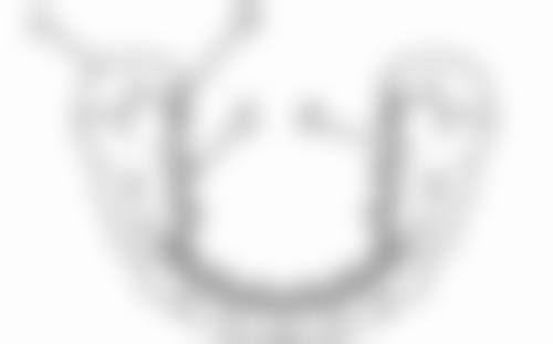 【上海俪洺口腔门诊部常见问题解答FAQ】
