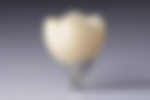 【北京佳和口腔百子湾门诊部预约挂号方式与流程】