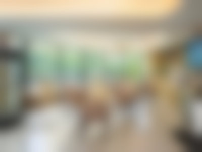 【南昌博德口腔门诊部(新洲路院区)骨干医生团队与技术标准】