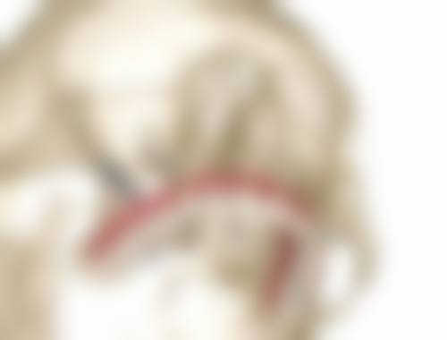 【甘肃临夏金冠口腔真实口碑评价】