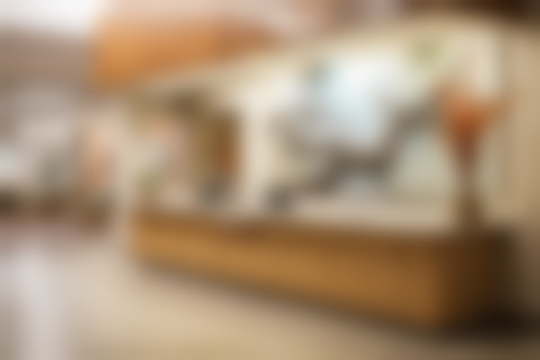 【常州牙佳达口腔门诊部前列技术设备与院感环境】