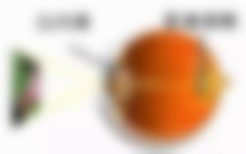 2026年度牙韩江项目价格参考表